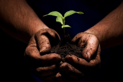 Soil held in hands